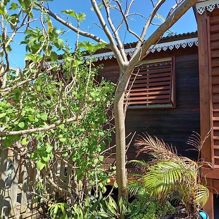 Villa Location Bord Ocean, Holi-Wood Saint-Joseph Exterior foto