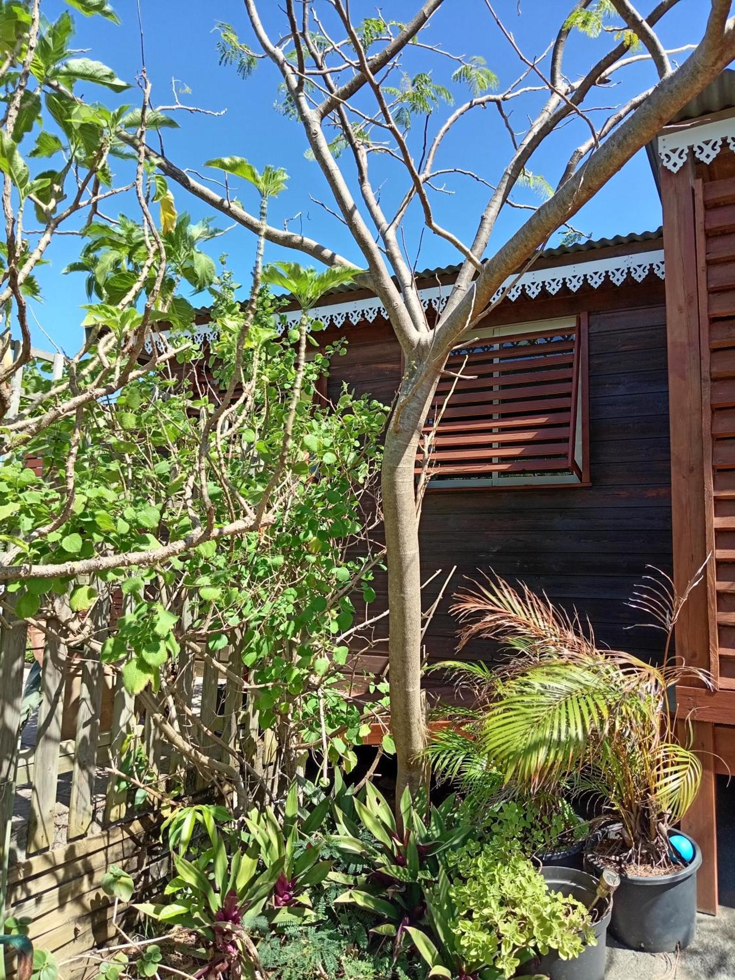 Villa Location Bord Ocean, Holi-Wood Saint-Joseph Exterior foto